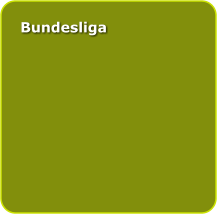 Bundesliga